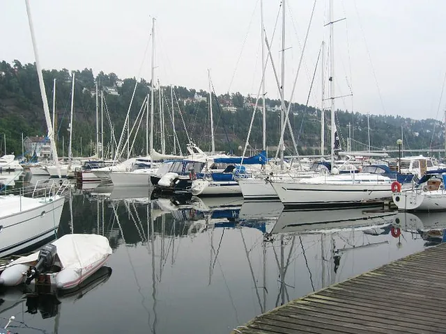 Seilbåter fortøyd i marina med speilblankt vann